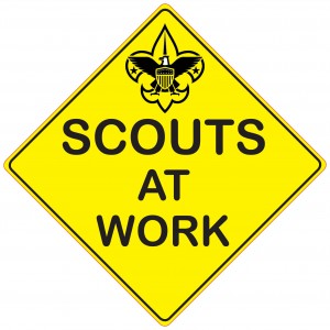 2010 GTFG Scouts at Work jpeg